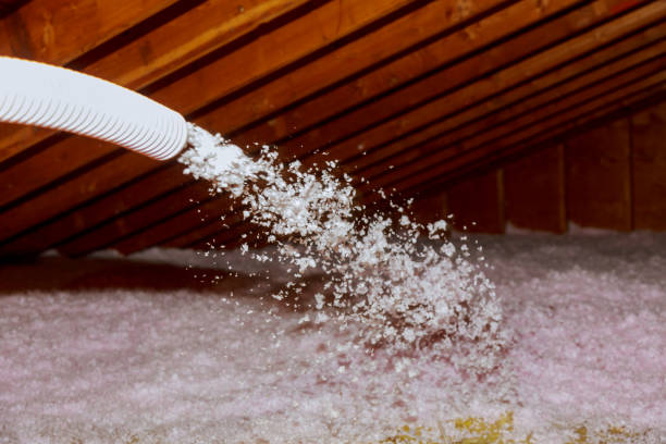 Best Garage Insulation Installation  in Ambridge, PA