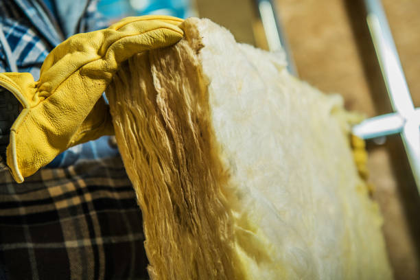 Best Attic Insulation Installation  in Ambridge, PA